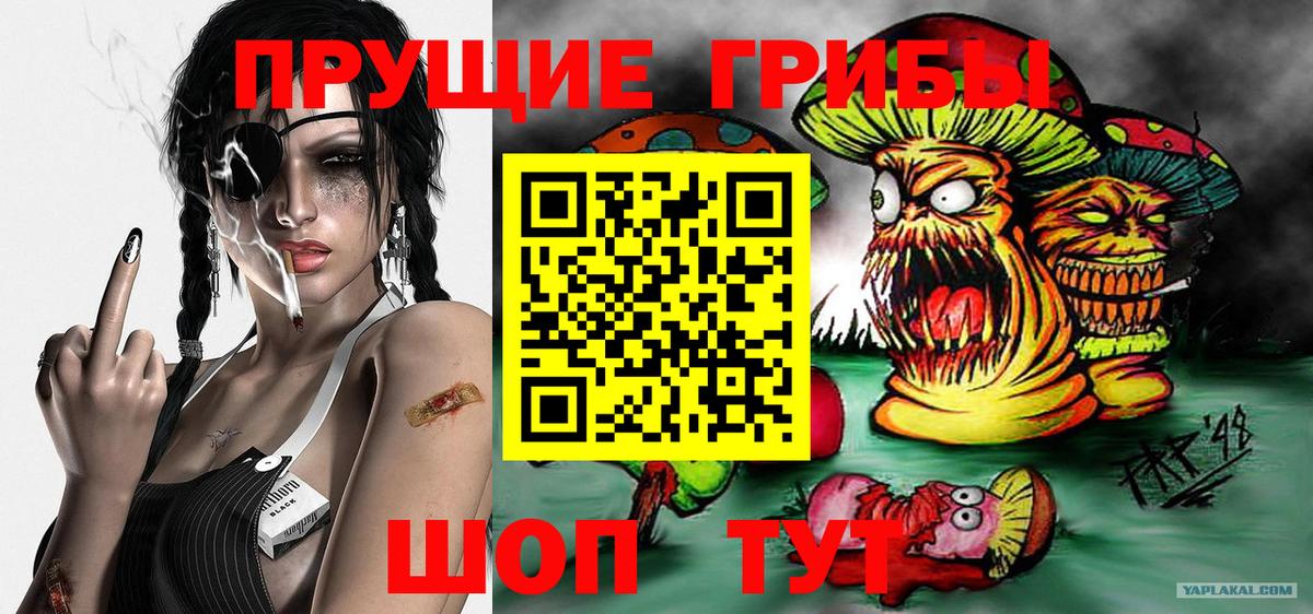 Псилоцибиновые грибы Magic Shrooms  дарнет шоп  Кунгур  Вход с VPN 